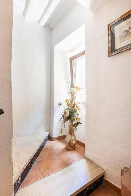 Casa Nel Corso Lejlighed Pitigliano Eksteriør billede